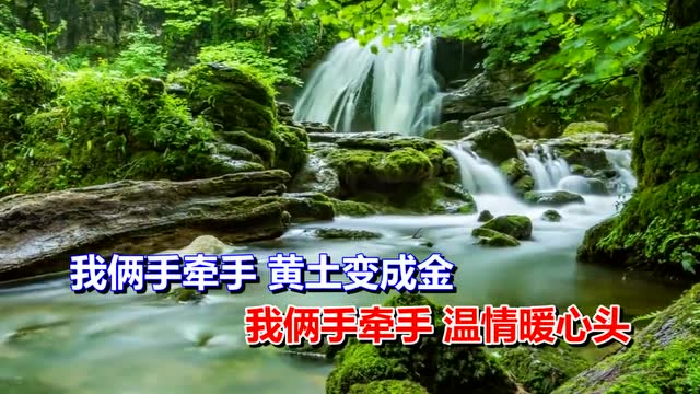 卓依婷心相印手牵手经典老歌怀旧歌曲