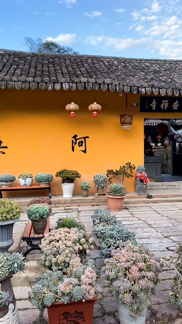 普安寺释明心
