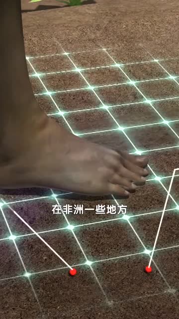 强迫症挤沙蚤图片