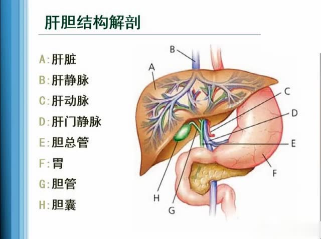 药店智汇的课程,药店智汇洪老师视频