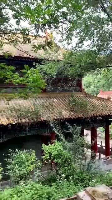 在终南山发现,这么大一座道观荒废了,太可惜了!