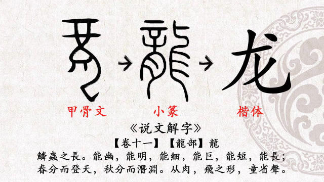 龙字甲骨文图案图片