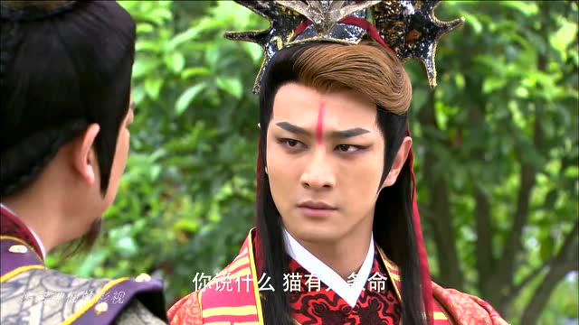 封神英雄榜:闻仲真是愚蠢呀,居然不知道猫妖有九条命,这才得以让猫精