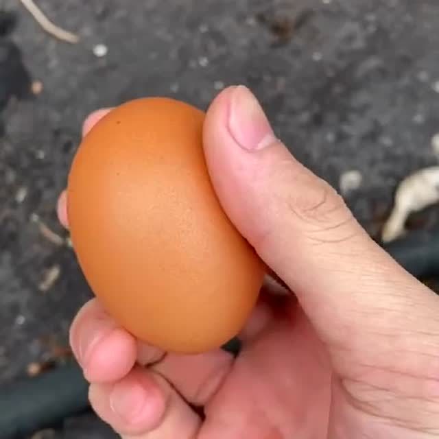 握在手心的鸡蛋,再用力也不会捏碎的,捏和掐是不一样的兄弟!