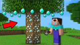 我的世界：长满钻石的树！你们见过吗？
