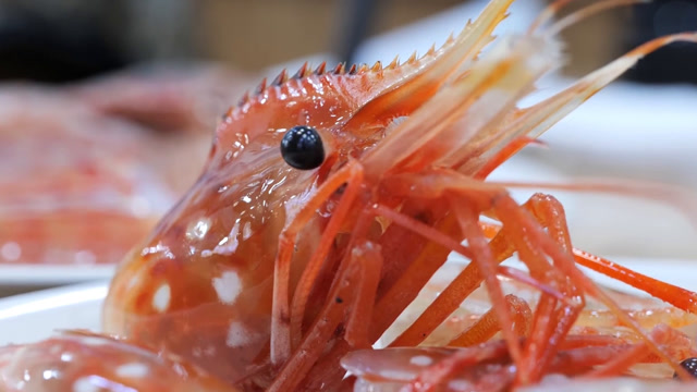 韩国街头美食 釜山桃花虾