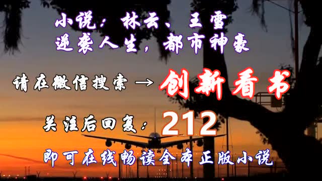 都市神豪(林云与王雪)叱咤风云