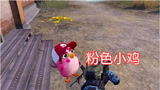 和平精英：海岛出现2只小鸡，其中1只自带信号枪，很有趣！