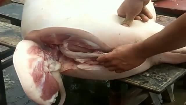 这就是传说中的杀猪,各有各的杀法从屁股杀猪,头一次见这种方式!