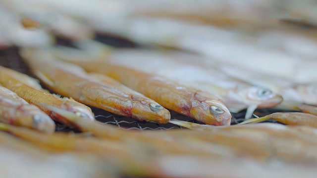 老家院里的门板上晒出的火焙鱼才是真正的上上品