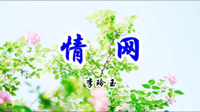 经典情歌,林翠萍一首《情网》太美太陶醉