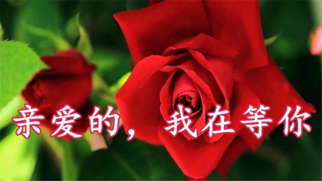 亲爱的,你知道我在等你吗?一首《我在等待你》听的好心酸!