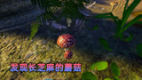 我的海岛01：我和二狗子发现毒蘑菇，上面还长着芝麻？