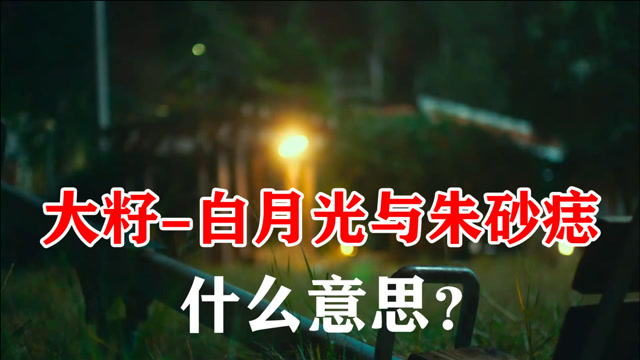 超火白月光与朱砂痣大籽白月光在照耀你才想起她的好