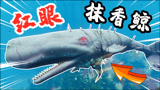 食人鲨：我的食人鲨进化成究极体形态，大战红眼抹香鲸