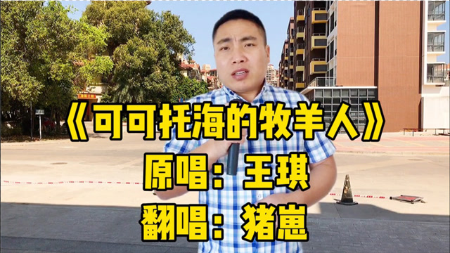 流浪歌手户外唱《可可托海的牧羊人》真好听,表演胜洋仔音似亚男