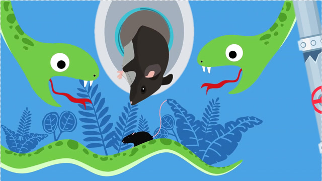 水蛇有何特点?科普英语学习