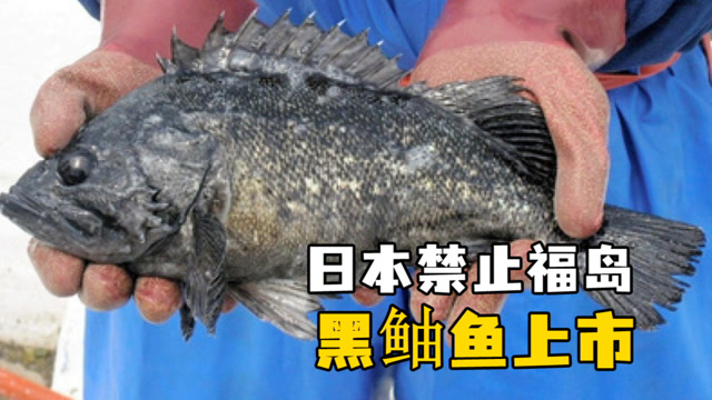 腾讯新闻·热推