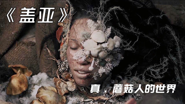 最新恐怖片《盖亚》,食人真菌,蘑菇人的世界!看完再也不想吃蘑菇!