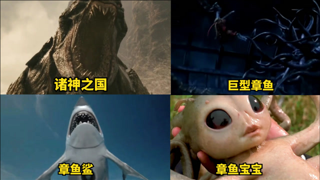 电影中的四只奇葩章鱼章鱼鲨太凶残而章鱼宝宝更可爱