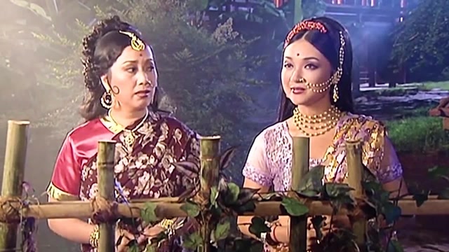 西游记续集02 02 02 缉盗菩提域(三)