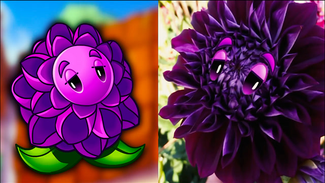 植物大战僵尸2:pvz植物的地球旅行
