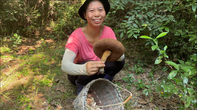 农村姑娘上山采蘑菇,发现不一样的野生菌,你们认识吗?