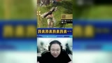 pdd玩永劫无间，教大家玩阔刀#搞笑