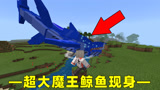 我的世界斗罗神界第四期:超大魔王鲸鱼现身