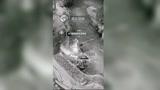 王者荣耀：我吐了呀，开局两小学生挂机