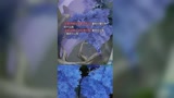 王者荣耀：犯我三爹，虽远必诛