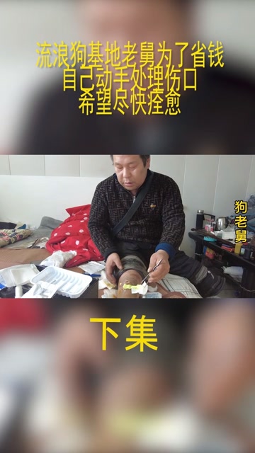 流浪狗基地老舅为了省钱,自己动手处理伤口,希望尽快痊愈@经纪人小微