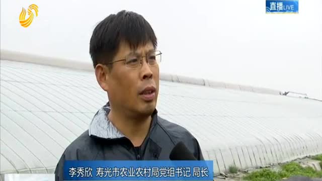 寿光蔬菜大棚排水顺利 大部分是空棚