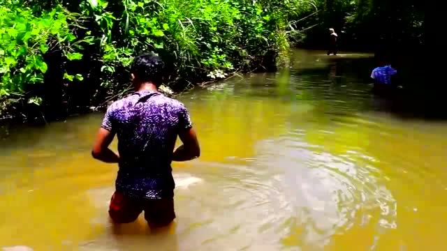 柬埔寨传统捕鱼罩 罩住鱼后手伸进去掏出来看着挺好玩的