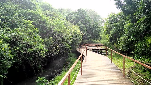 冯塘绿园龙栖谷栈道,流水潺潺,绿树成荫
