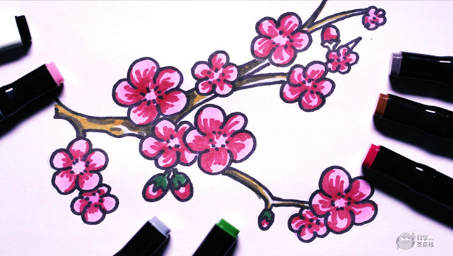 神笔简笔画梅花梅花朵朵开儿童绘画早教教程