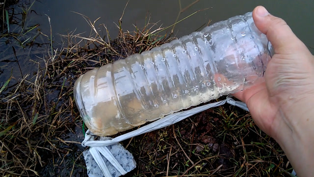 塑料瓶抓鱼实用性如何?模仿做了一个测试,捕鱼效果杠杠的