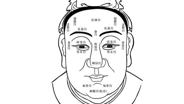 前额饱满升职又加薪 《来龙去脉》16期