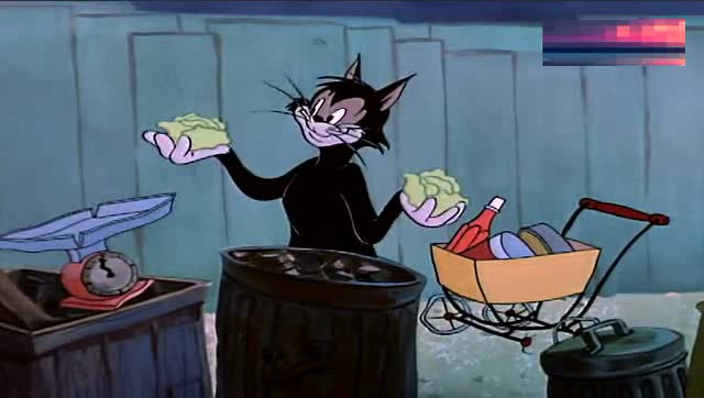 猫和老鼠 流浪猫把垃圾场当成了超市 还想偷汤姆的牛奶