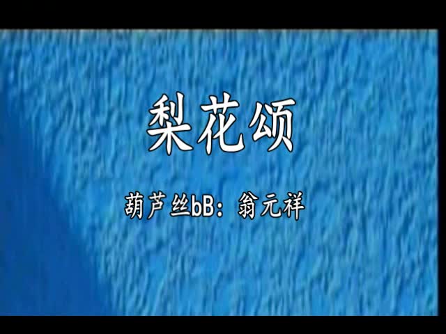 梨花颂葫芦丝bb翁元祥