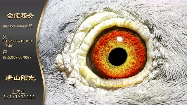 4-唐山阳光-全能超女