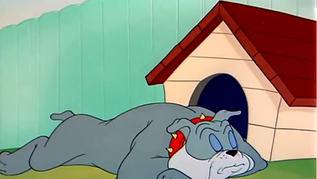 猫和老鼠:杰瑞鼠复仇记!杰瑞鼠整蛊不断,汤姆猫一脸生无可恋