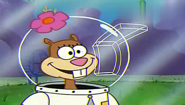 海宝宝之情人节到了,海宝宝送给珊迪巧克力爱心