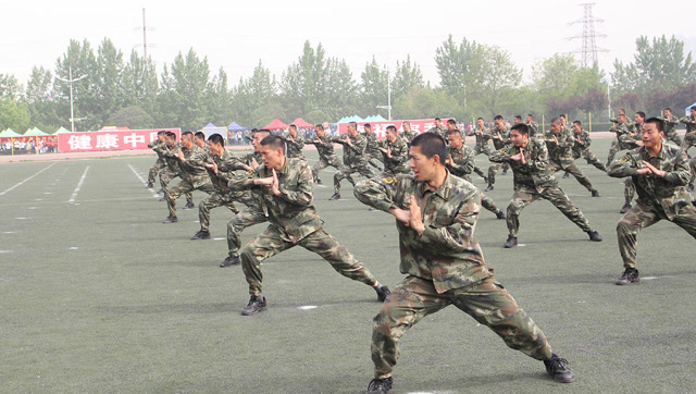 网曝中国武警擒敌拳视频,网友:这就是中国力量!