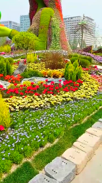 世界花展,不知道这些花怎么摆的这种造型