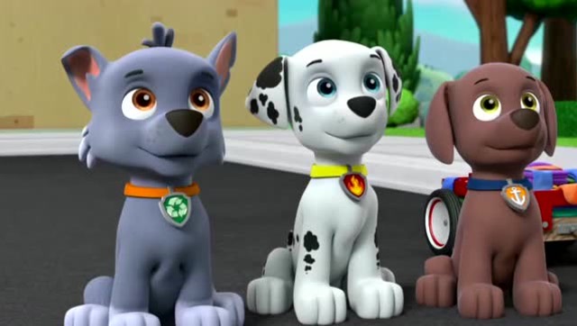 汪汪队立大功:狗狗们和谷威市长好有爱心,捐出不穿的衣服