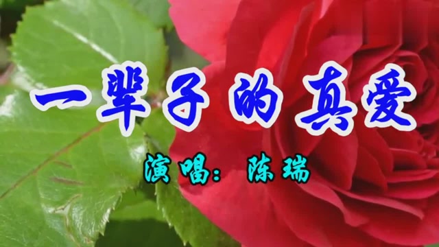 经典情歌,陈瑞一首《一辈子的真爱》好听极了