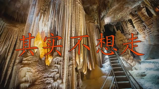 怀旧经典《其实不想走》,唱的很有味道,唱的真不错