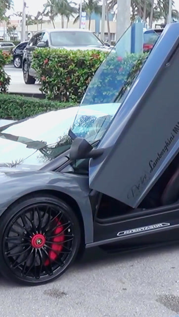 兰博基尼,蝴蝶门,要展翅高飞吗