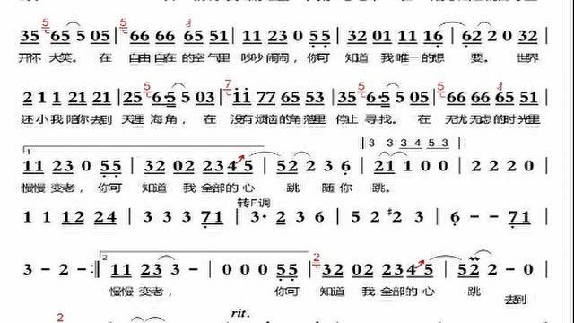 《一次就好》陶笛教学